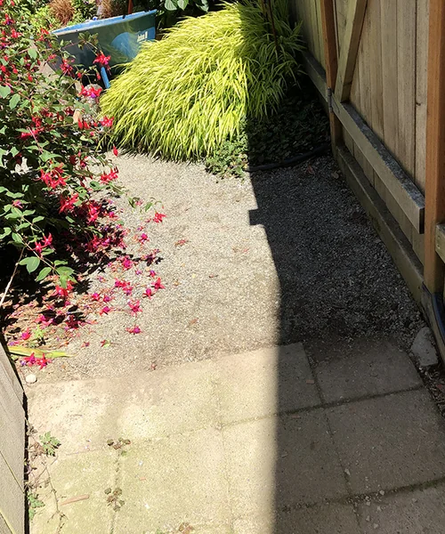 Bluestone Patio and walkway in Seattle